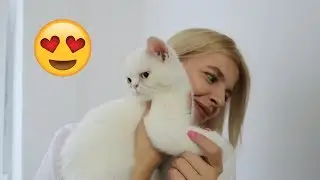 NOUL MEMBRU AL FAMILIEI !