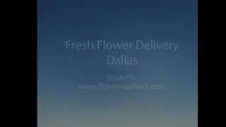 Fresh Flower Delivery Dallas, Texas. Affordable Florist Delivery Service Dallas