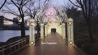 겨울빛에 물든 서울 석촌호수 산책 ❄️“A Winter Walk at Seoul’s Seokchon Lake, Bathed in Winter Light 