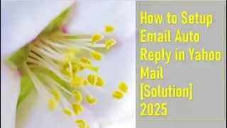 How to Setup Email Auto Reply in Yahoo Mail  [Solution] 2025