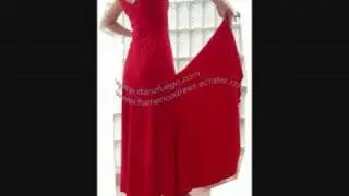 FL0805 Danzfuego Flamenco Dance Costumes 2008 New collection