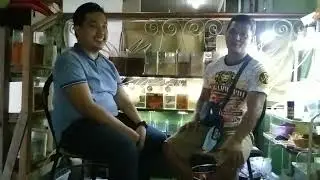 EFFECTIVE BETTA GROOMING BY MASTER Julien Ashley Manrique #Bicol Ornamental Fish Keeper