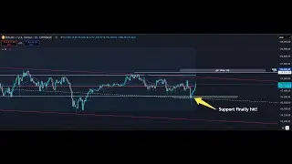 Bitcoin fall to support and holds! Now is Bitcoin about to pump? Plus Alts!