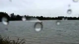 MOV04588