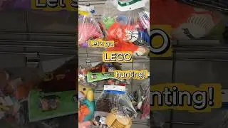 You Won&rsquo;t Believe This LEGO Minecraft Find at the Thrift Store! 😱