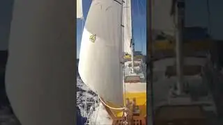 The beauty of Sailing ⛵️