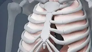 USMLE Step 2ck book Pulmonary complete system all topic in 42 minutes By Dr Muhammad Rizwan 