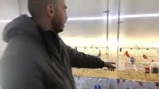 El sistema rollo para limpieza