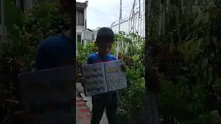 momento 2, ser&iacute;aci&oacute;n por forma p&aacute;gina 18.