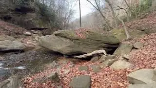 Rockcastle Narrow at Bee Rock Campground