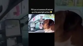 POV you cut someone off 😂