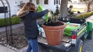 Сажаем жимолость! 🙌💙🌿 // Garden Answer