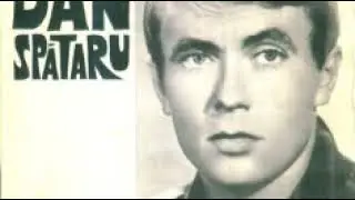 Dan Spataru-Ce pot sa fac