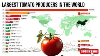 🍅 Largest Tomato Production Countries in the World.