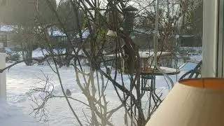 Sn&ouml;-starar