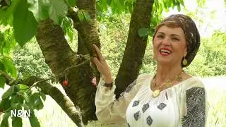 Bage-ntr-o seara de vara - Nicoleta Voica-Bagiu (videoclip NOU 2020)