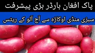 Pak-Afghan Border Major Progress Vegetable Market Okara Today Potato Rates 18.02.2026