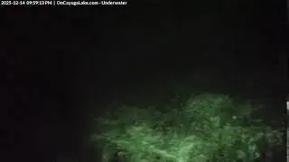 Welcome to On Cayuga Lake - Underwater! - 12/14/2025