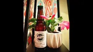 Day 243 Beer Review: Your Dad&rsquo;s FBPP, The Tiffin Brewery CZECH PILSNER