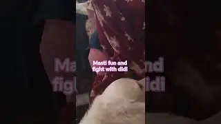 #youtubeshorts #dog #instagrampost#goldenretriever #instagram #youtube #fypシ゚viral #fyp