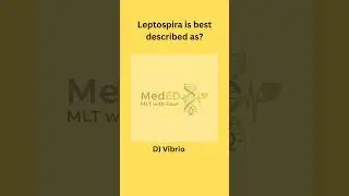 🧬 MCQ for MLT | Leptospira Classification | Lab Technician Exam Prep