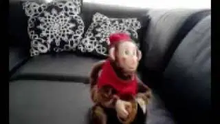 REAL LIFE MONKEY BOMB BOUGHT OFF EBAY