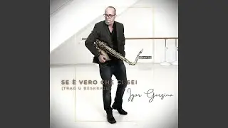 Se è vero che ci sei (Trag u beskraju)
