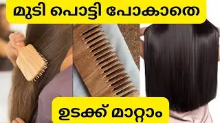 മുടി പൊട്ടി പോകാതെ ഉടക്ക് എടുക്കാം|Hair detangling method 💯effective #youtube #malayalam #detangling