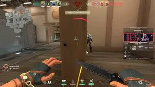 The Iron Experience