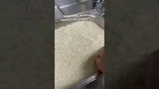 Bagaimana steam basmati rice proses in oven