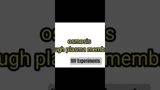 Osmosis Through Plasma Membrane Experiment #experiment #biology #scienceexperiment