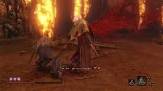 Prevent illusions in Sekiro Lady Butterfly bossfight
