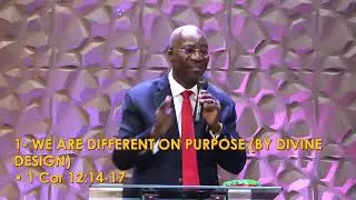 We are different on purpose (by divine design)