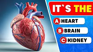 Can You Pass This Human Body Quiz? 🧠