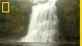 Hawaii's Hidden Paradise | On Assignment