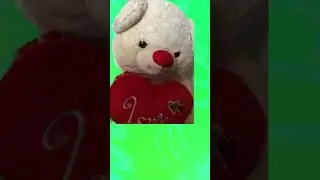 esplodo orso