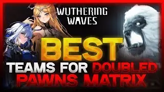 NEW ENDGAME MODE! - Best Teams For Doubled Pawns Matrix | Wuthering Waves