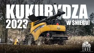 Koszenie Kukurydzy w śniegu 2023 Nowa seria filmów ! New Holland CR