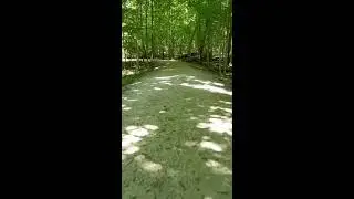 McDowell Grove - Shadowy Biking Path