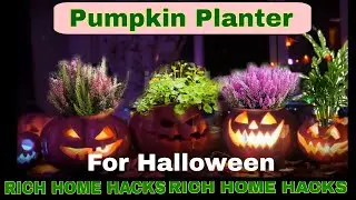 Turn a Pumpkin into a Stunning Fall Planter | Easy Halloween Home Hack