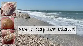 North Captiva Island Florida. What to expect on a shelling and beachcombing on a local tour.