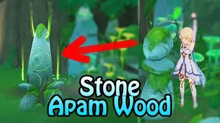 Weird Stone at Apam Wood ~ Sumeru Genshin Impact