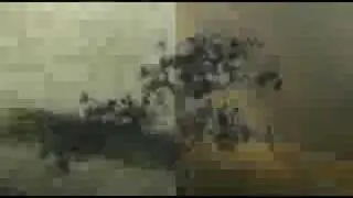 Avant-Garde Film 01