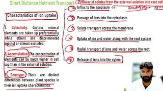 Mineral nutrient transport in Plants : Short Distance Pathway