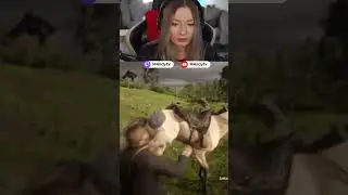 horse kicks tree farts on dog remake?