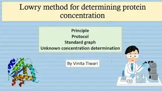 Lowry method for protein quantification