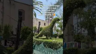 Muy bonito #Tlaltenango Zacatecas y todo&hellip; pero sus dinoarbustos 😍🦕
