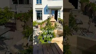 Cozy Hidden Caf&eacute; in Oslo ☕🌿 | Secret Fountain Spot!