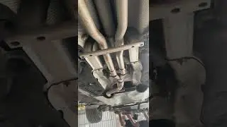🤔Underbody Coating Avasiyama? | RevNitro