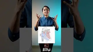 Расширьте свои знания о сердечных циклах! | Xylem NEET Tamil